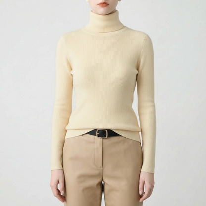 Slim Fit Turtleneck Sweater