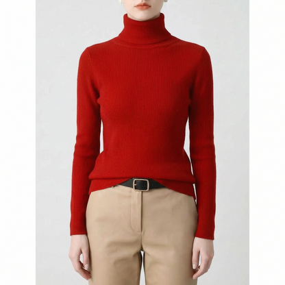Slim Fit Turtleneck Sweater