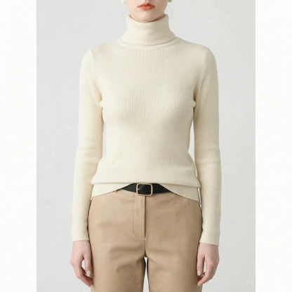 Slim Fit Turtleneck Sweater