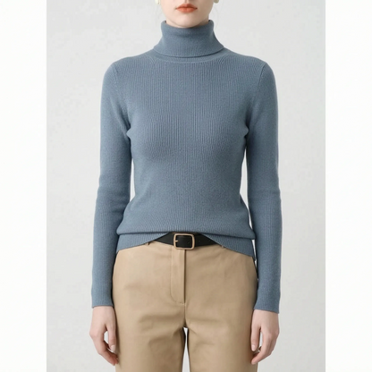 Slim Fit Turtleneck Sweater