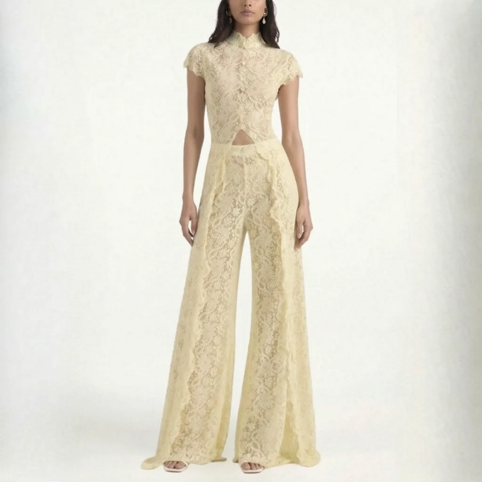 Two Piece Sheer Patterned Pants Set