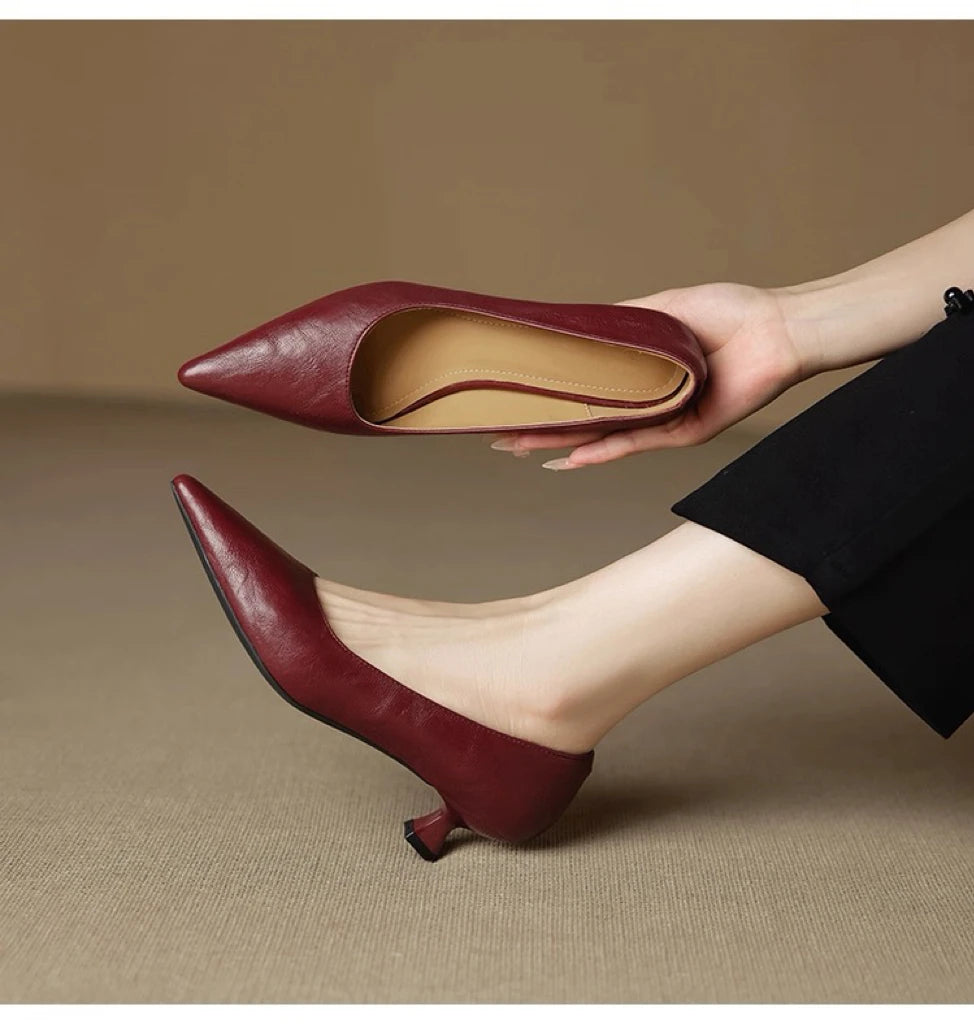 Women's Pointed Toe Pumps