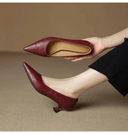 Women's Pointed Toe Pumps